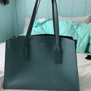 Charlie Carryall in Sage